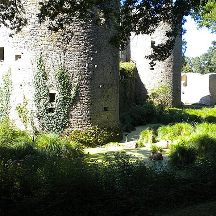Photo de Château de Ranrouët