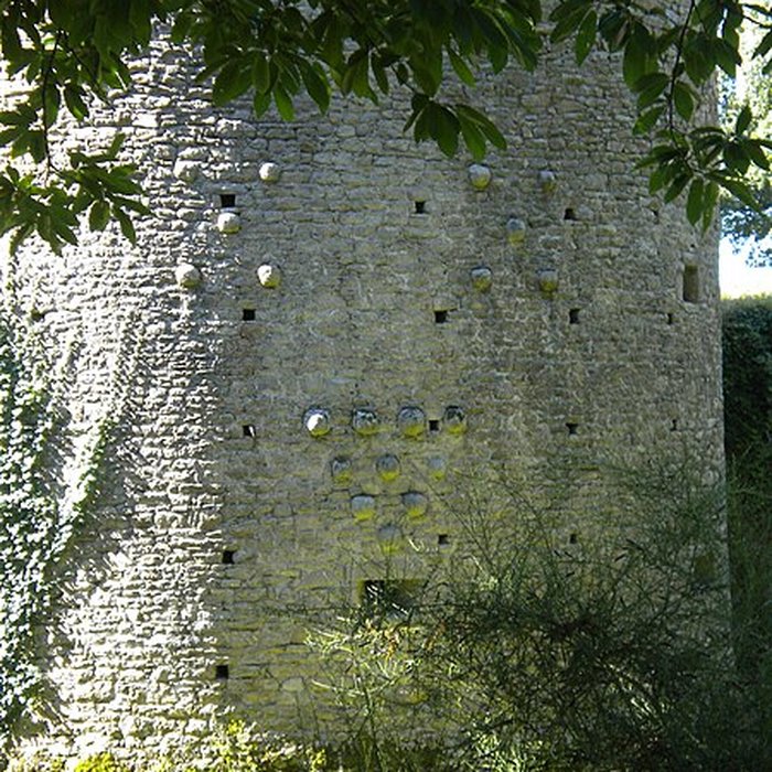 Photo de Château de Ranrouët