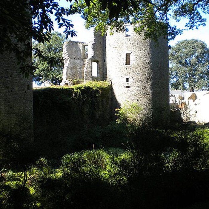 Photo de Château de Ranrouët