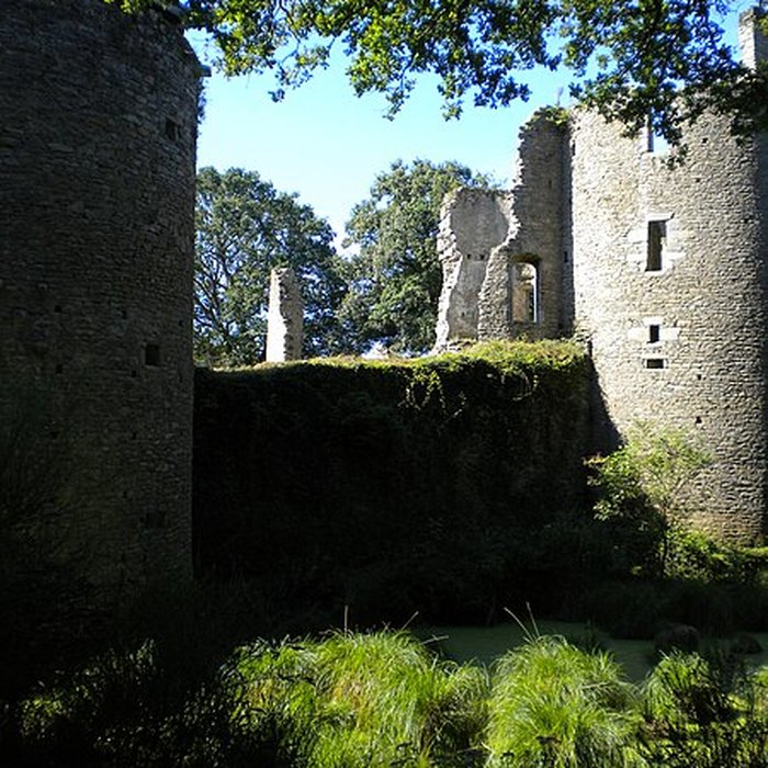 Photo de Château de Ranrouët