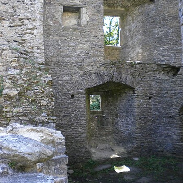 Photo de Château de Ranrouët