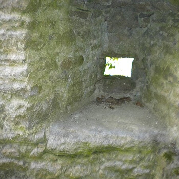 Photo de Château de Ranrouët