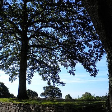 Château de Ranrouët