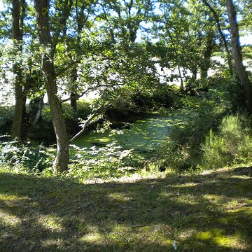 Château de Ranrouët