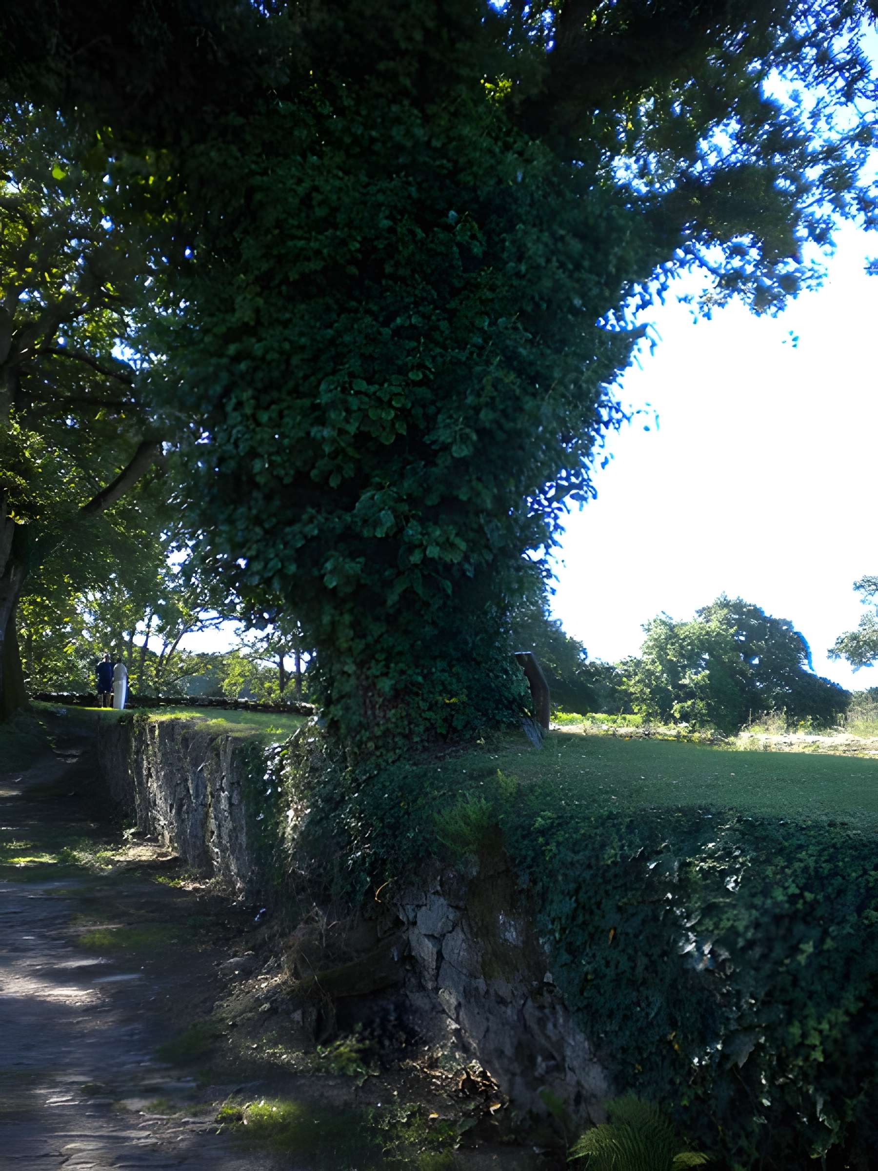 Château de Ranrouët