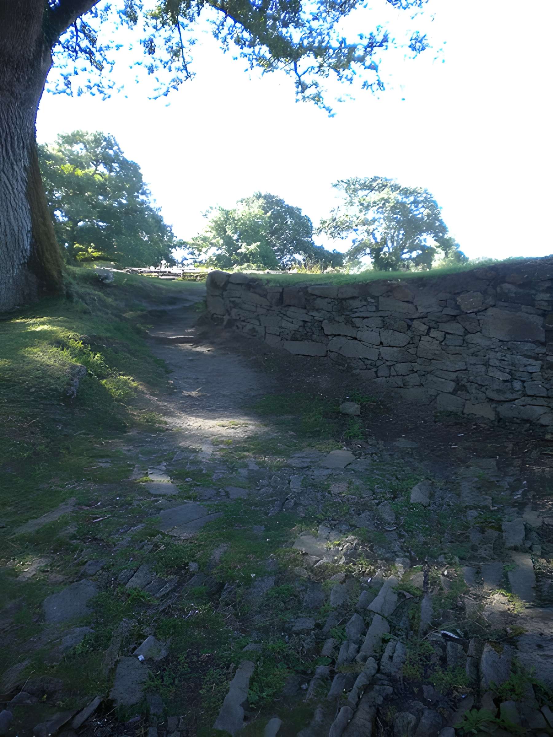 Château de Ranrouët