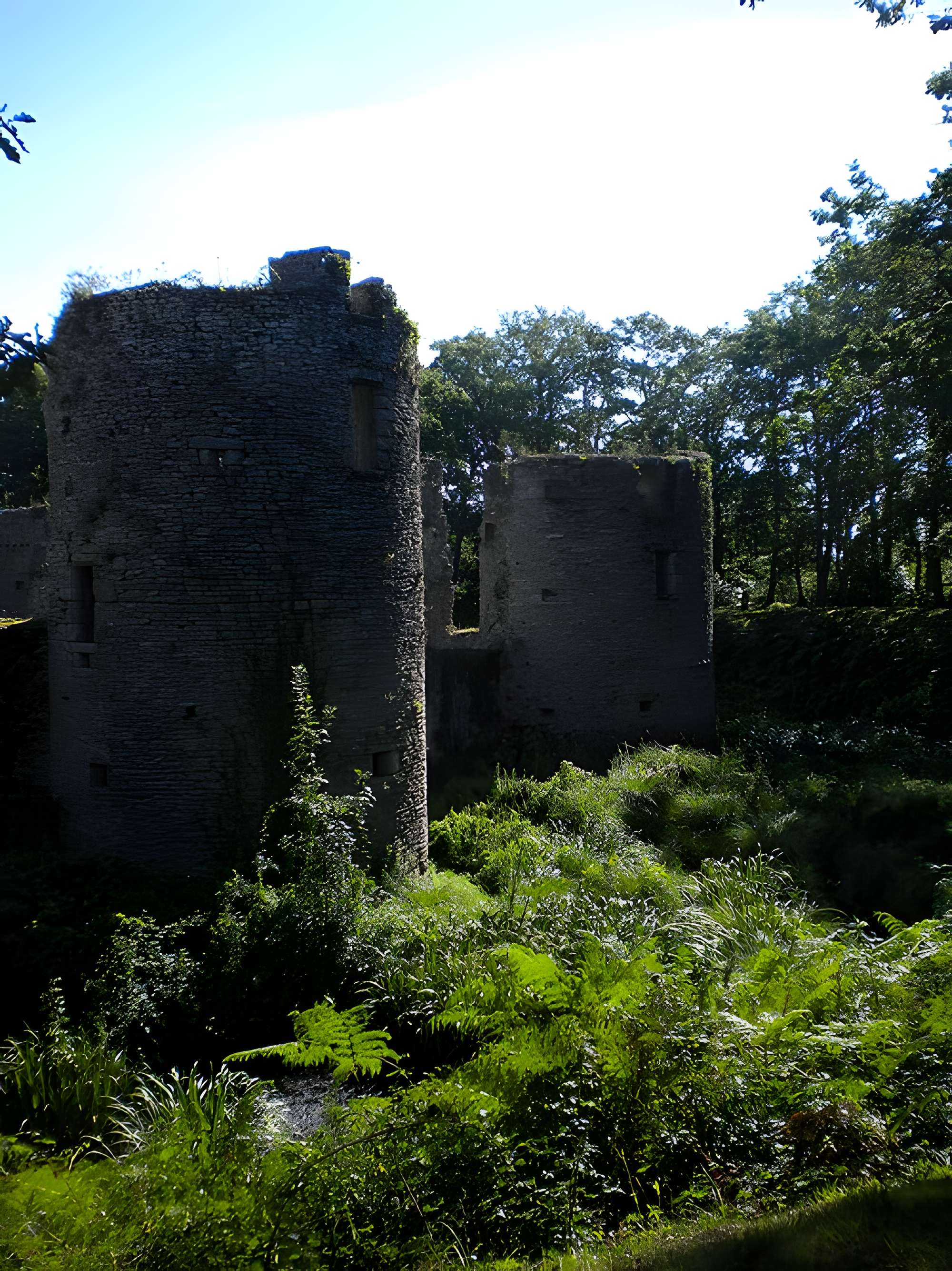 Château de Ranrouët