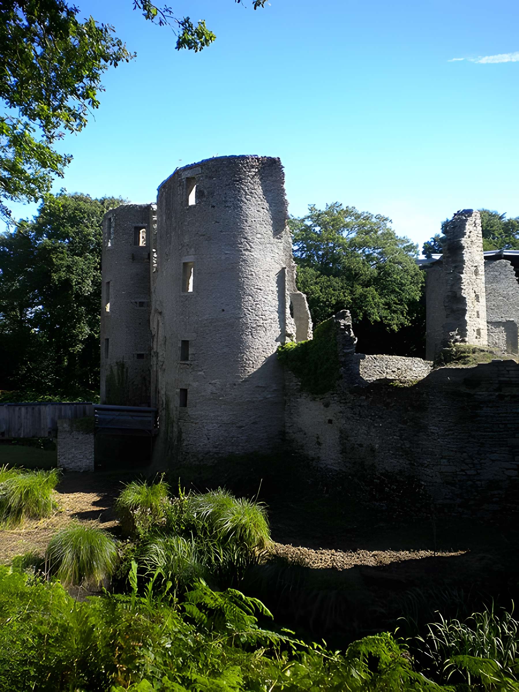 Château de Ranrouët