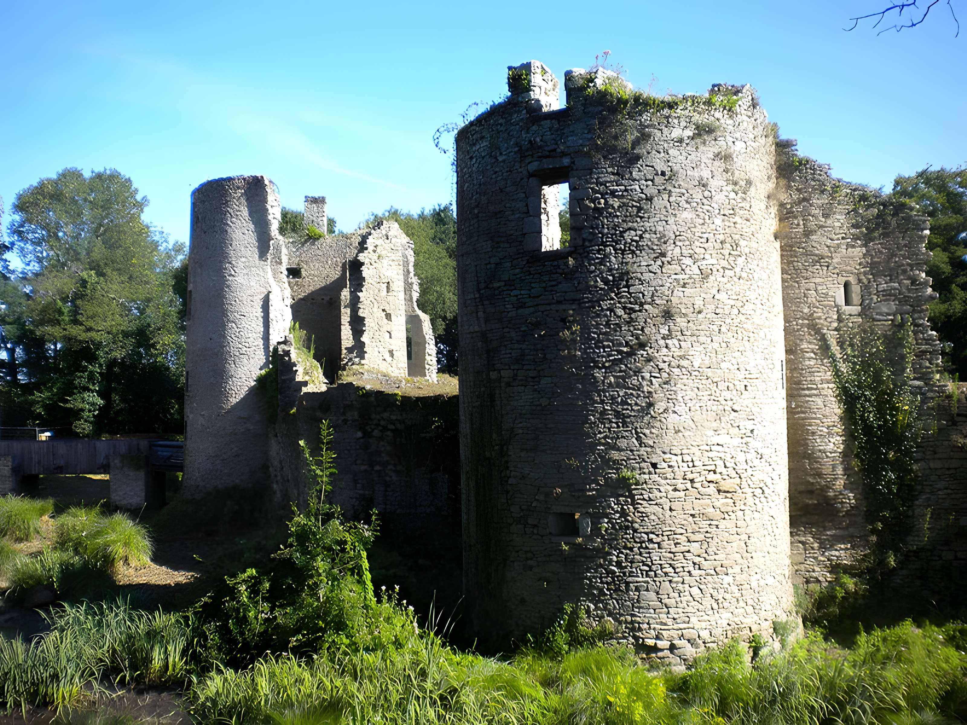 Château de Ranrouët