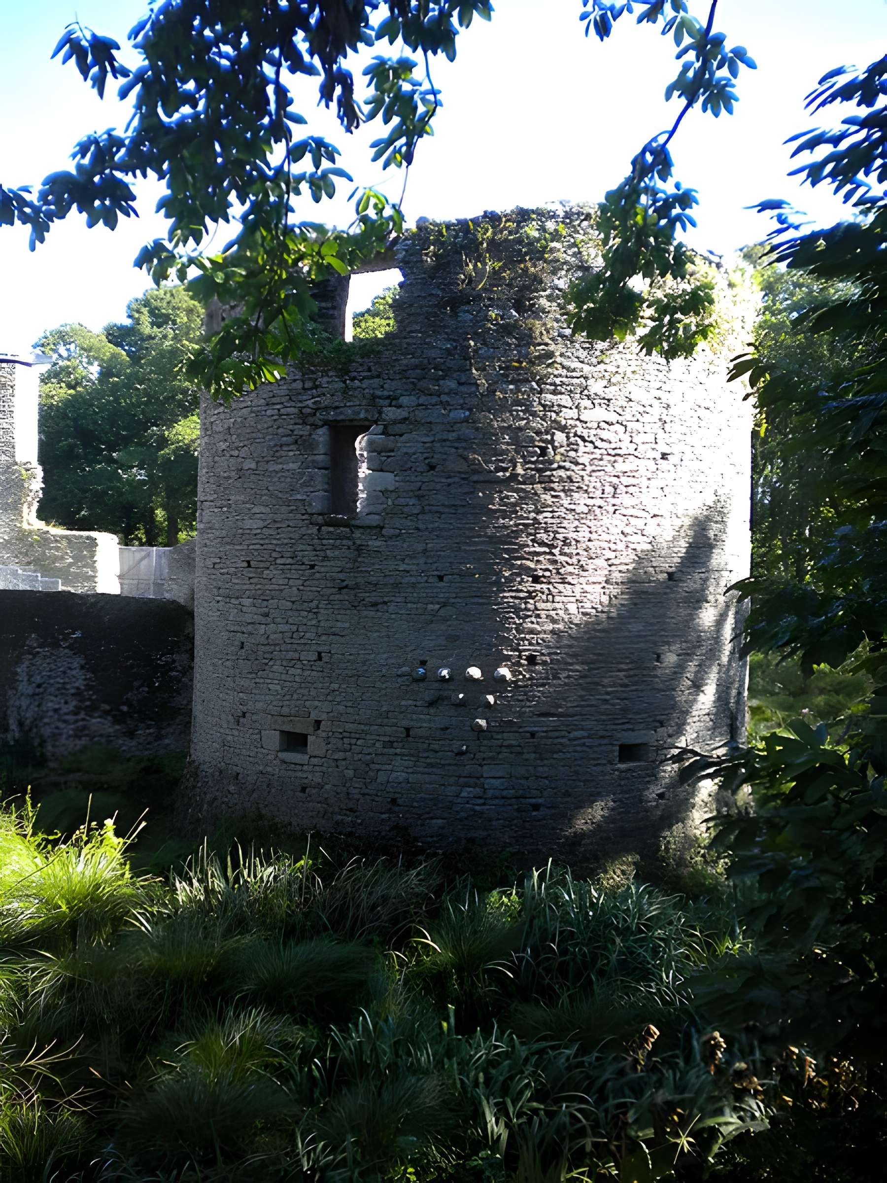 Château de Ranrouët