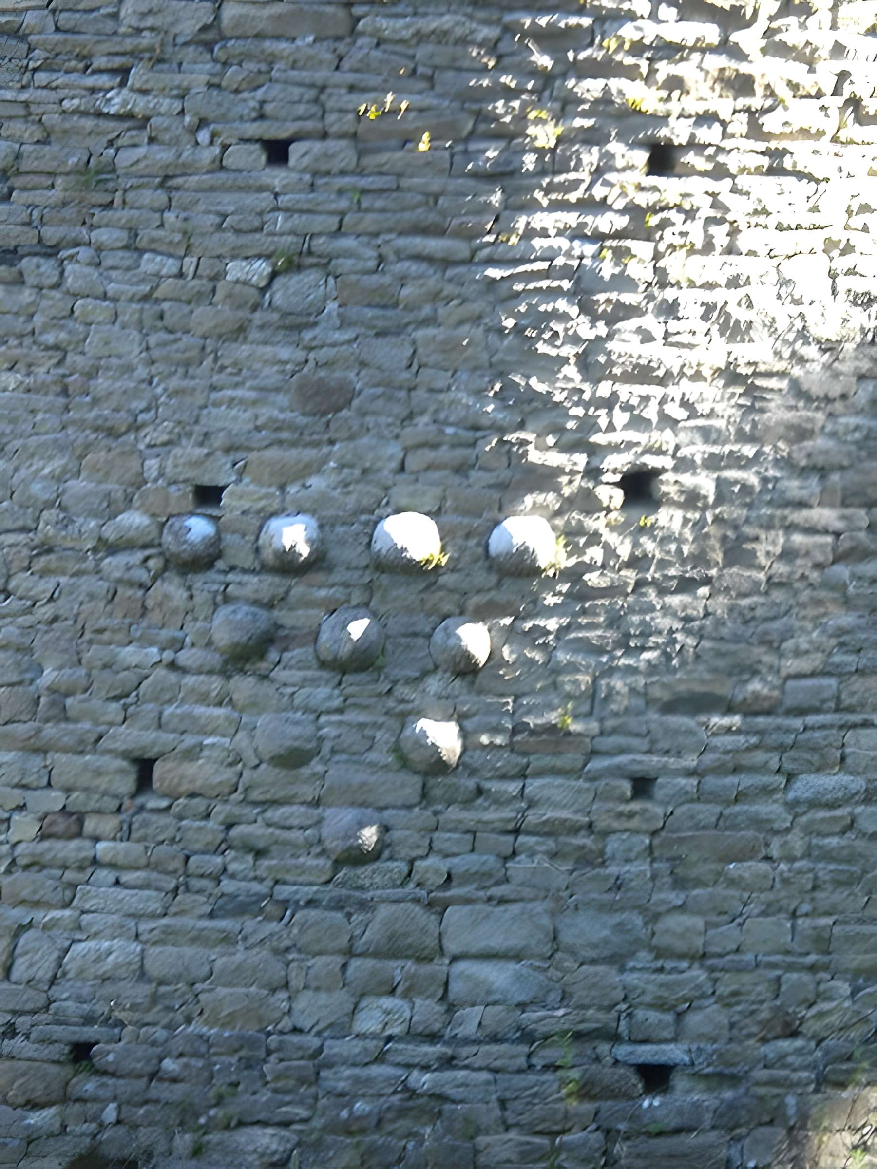 Château de Ranrouët