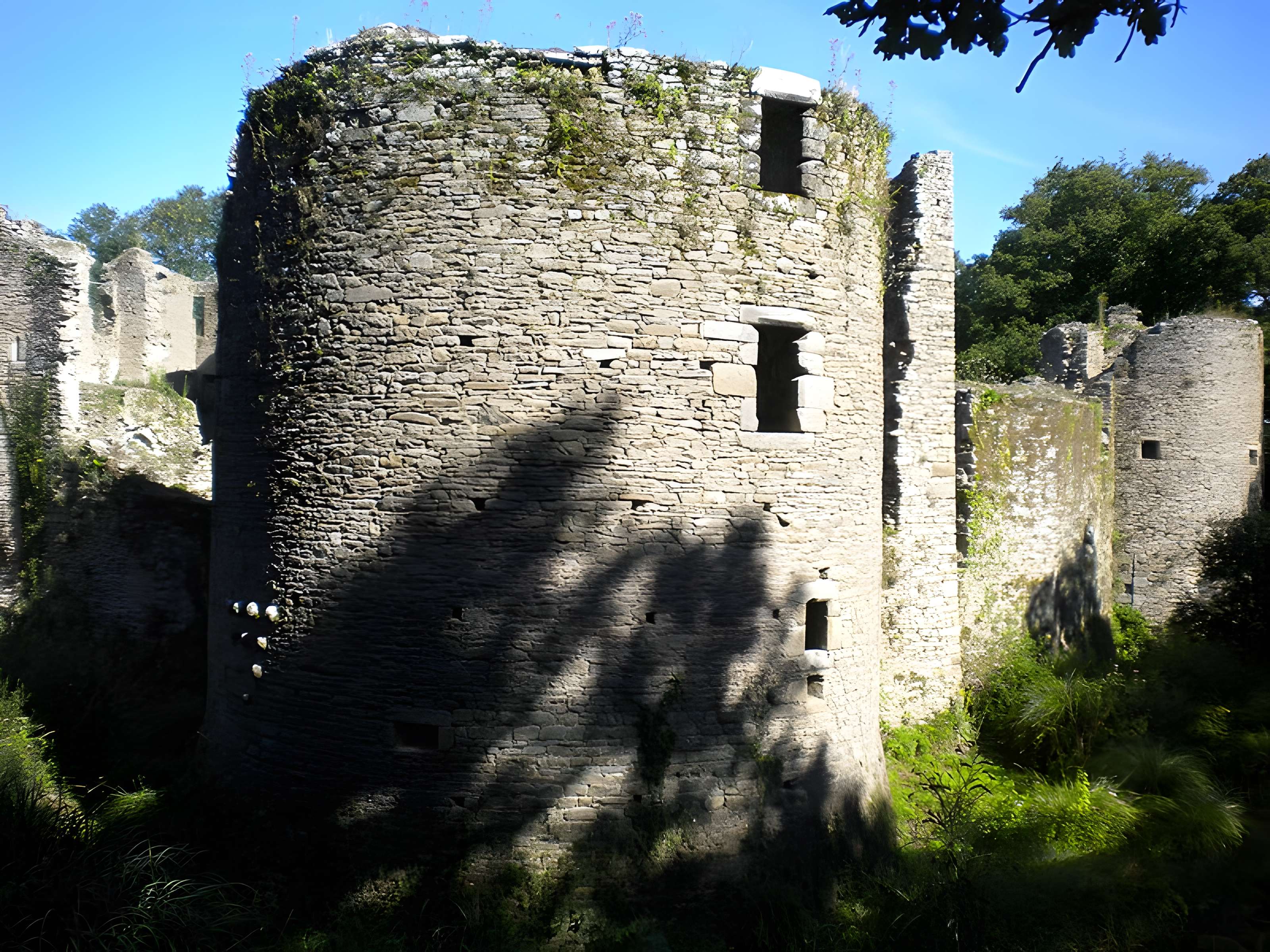 Château de Ranrouët