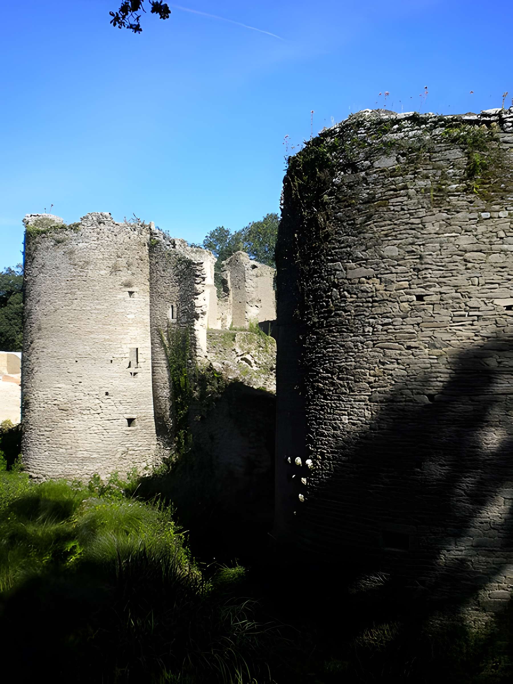 Château de Ranrouët