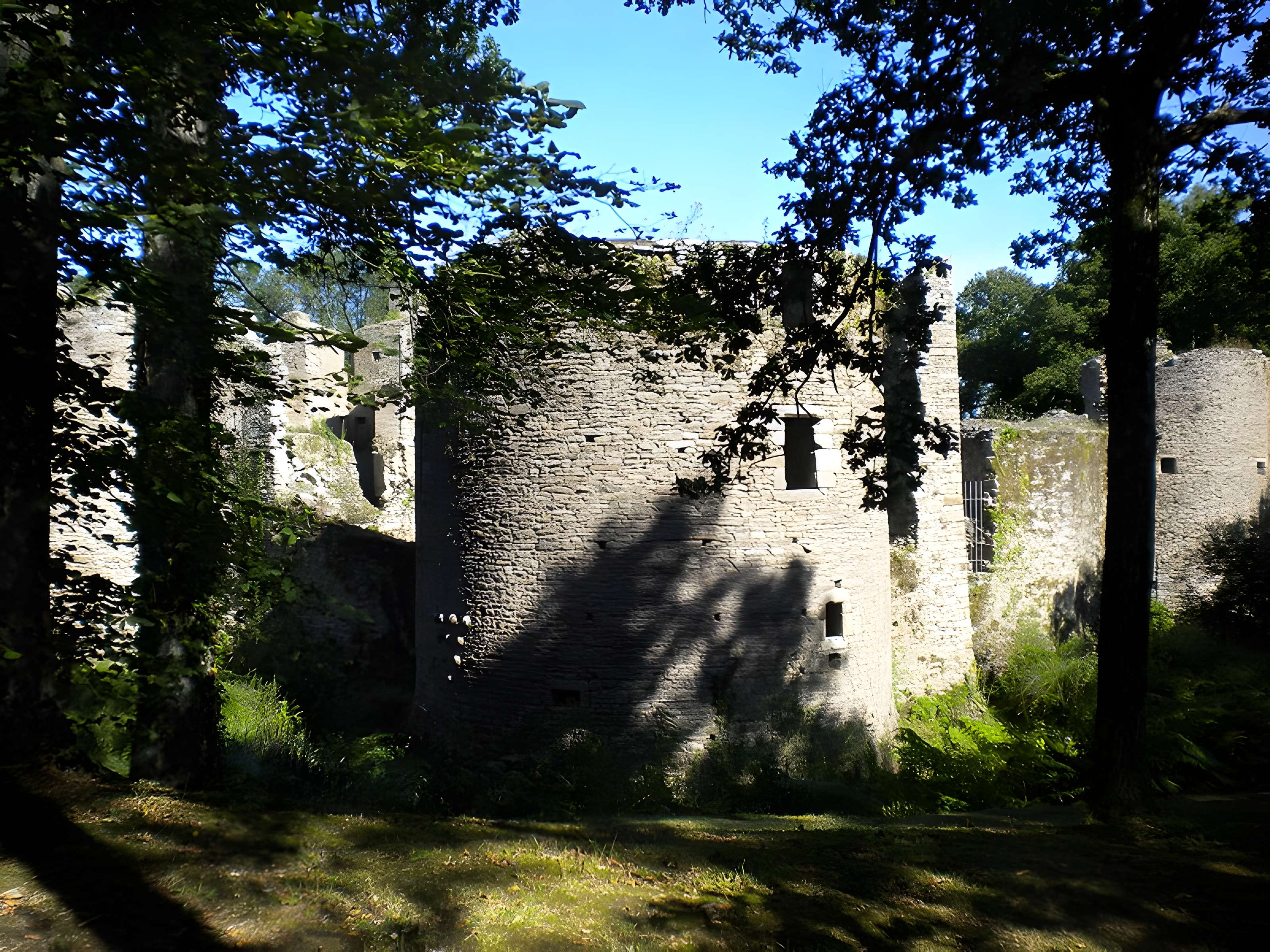 Château de Ranrouët