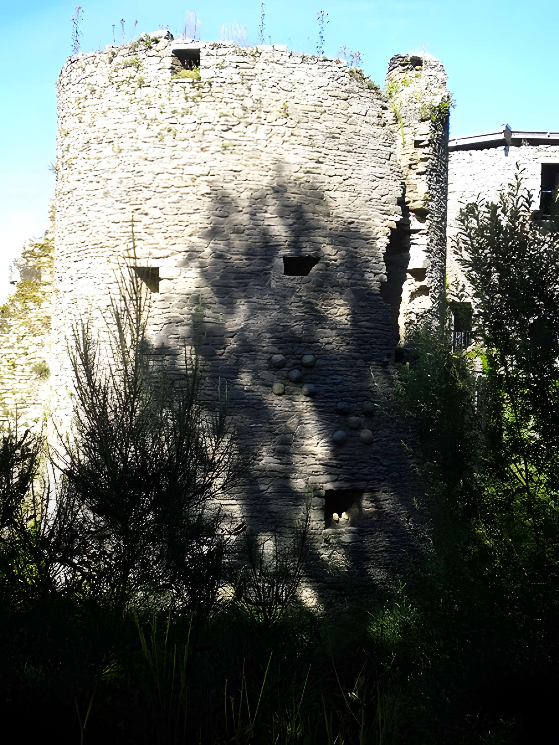 Château de Ranrouët