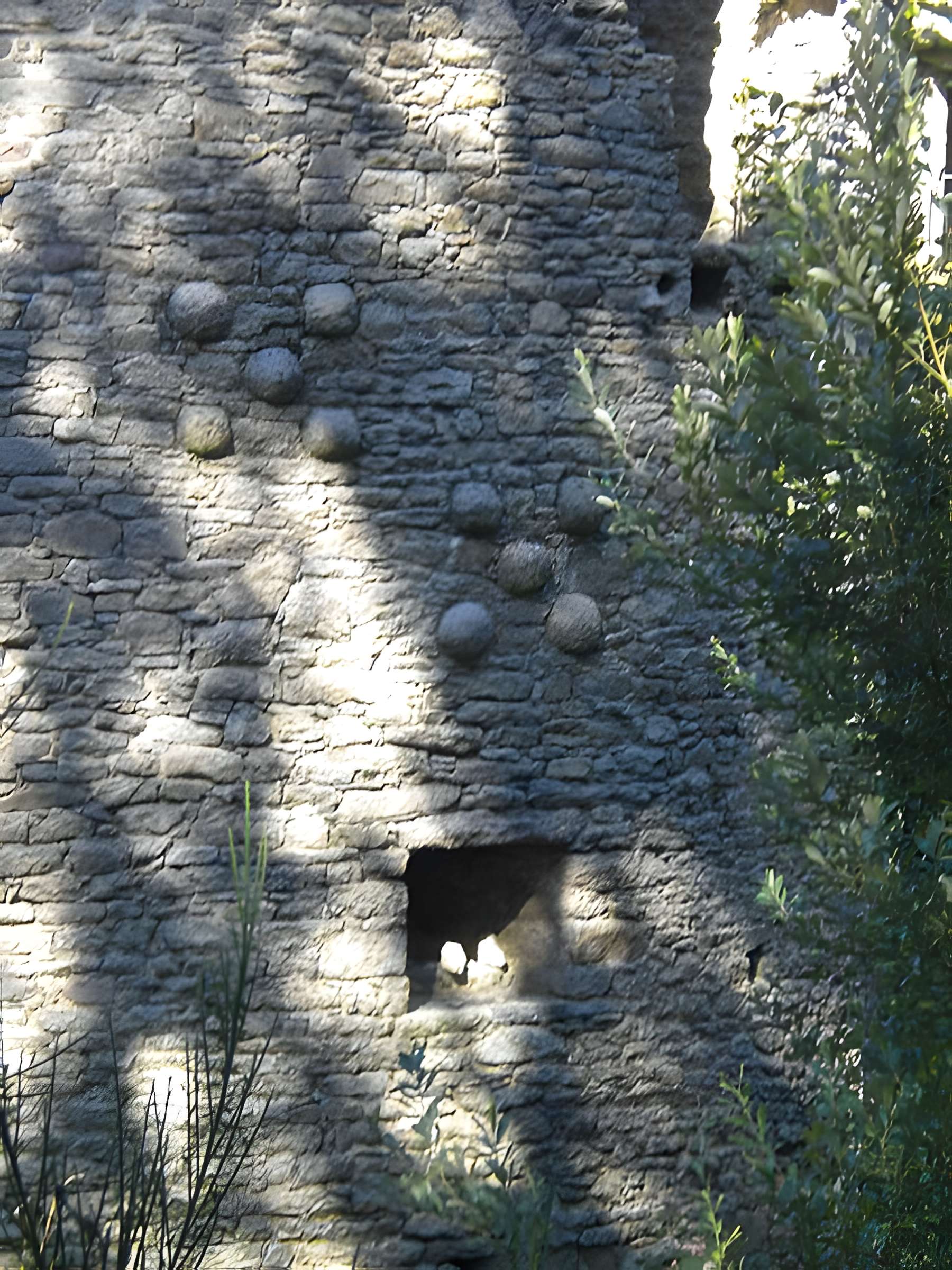 Château de Ranrouët