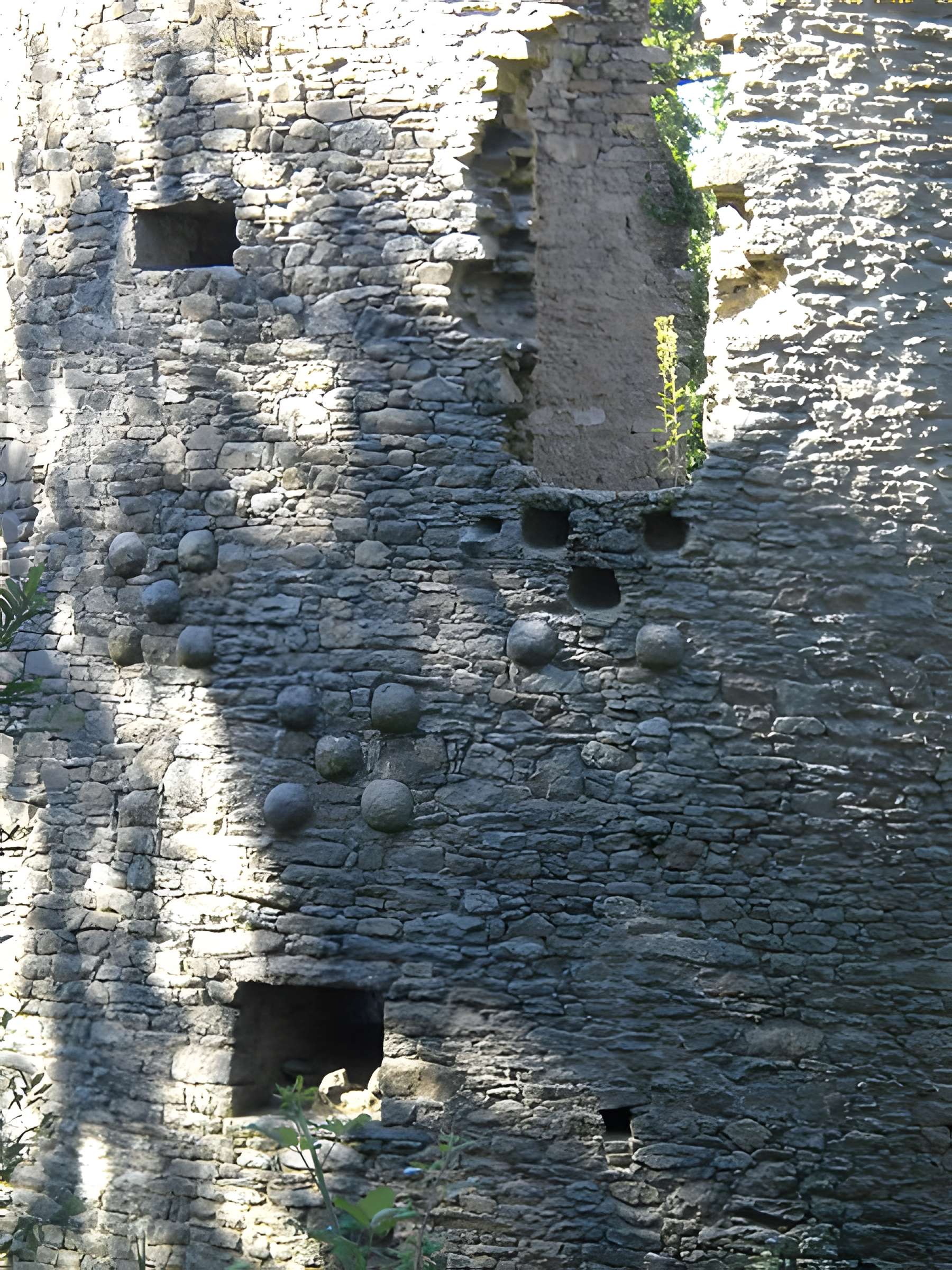 Château de Ranrouët