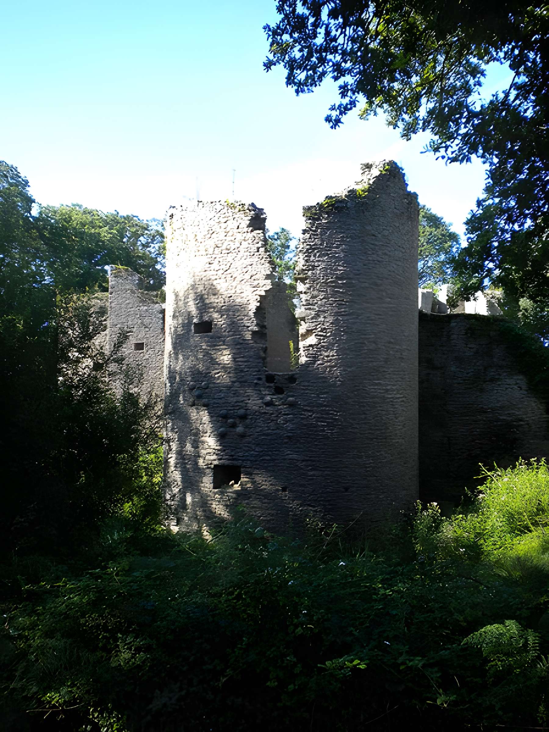 Château de Ranrouët