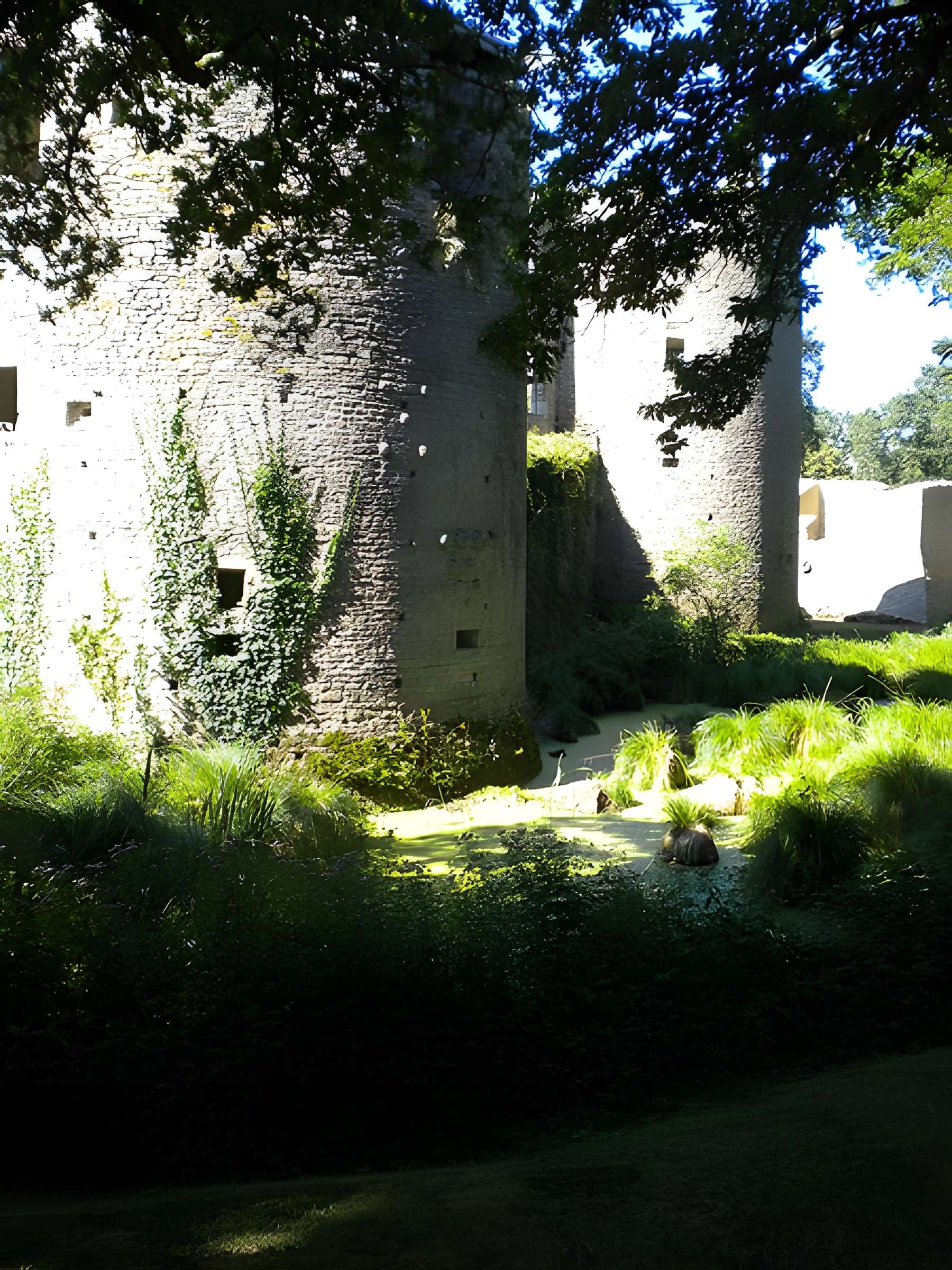 Château de Ranrouët