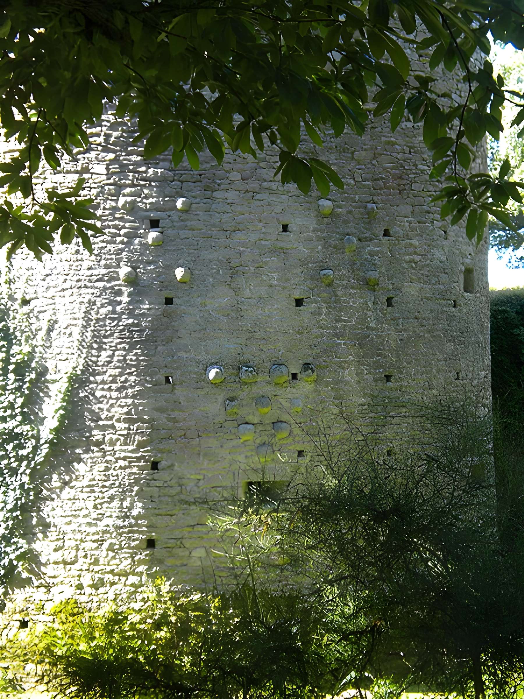 Château de Ranrouët