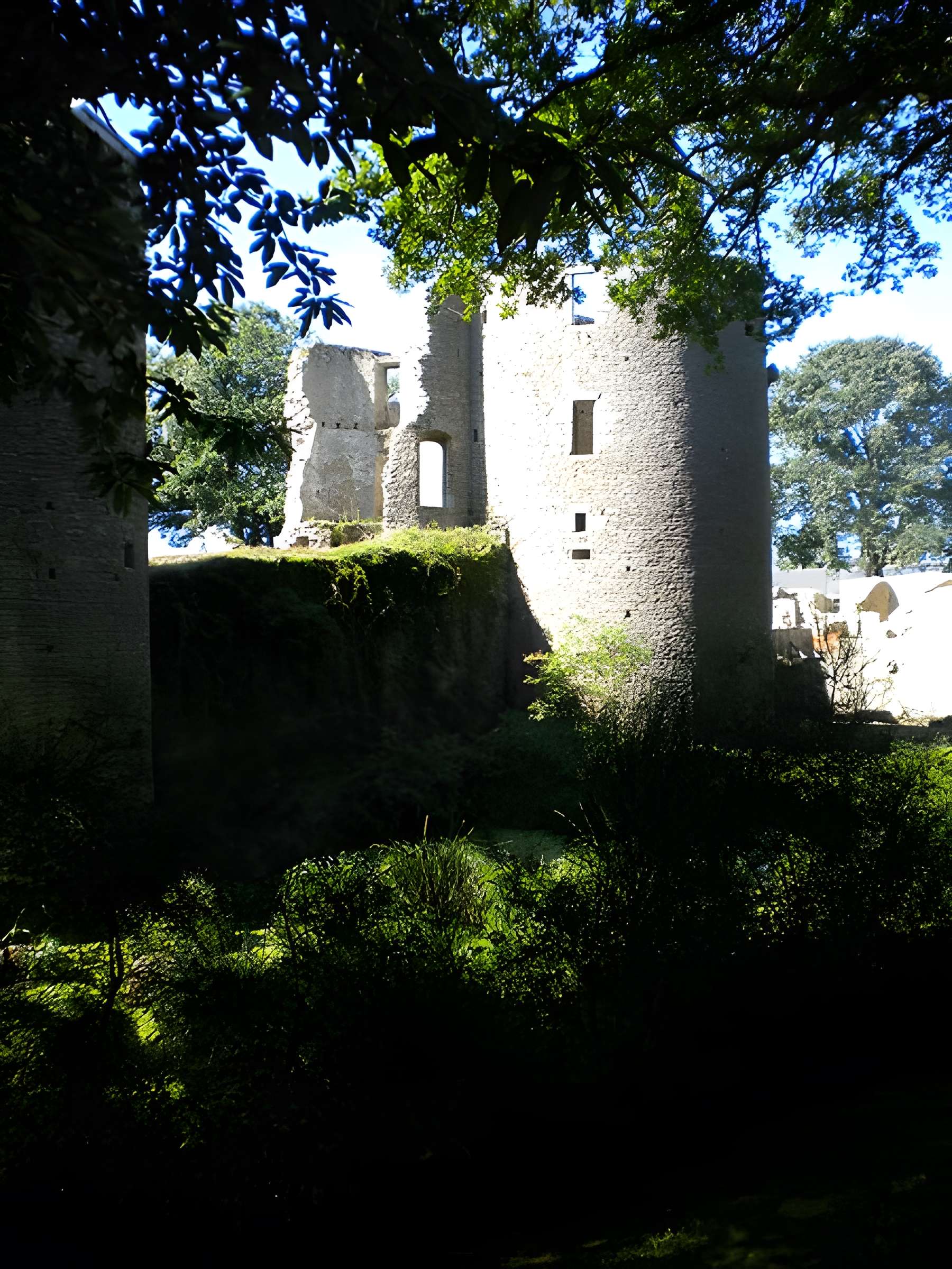 Château de Ranrouët