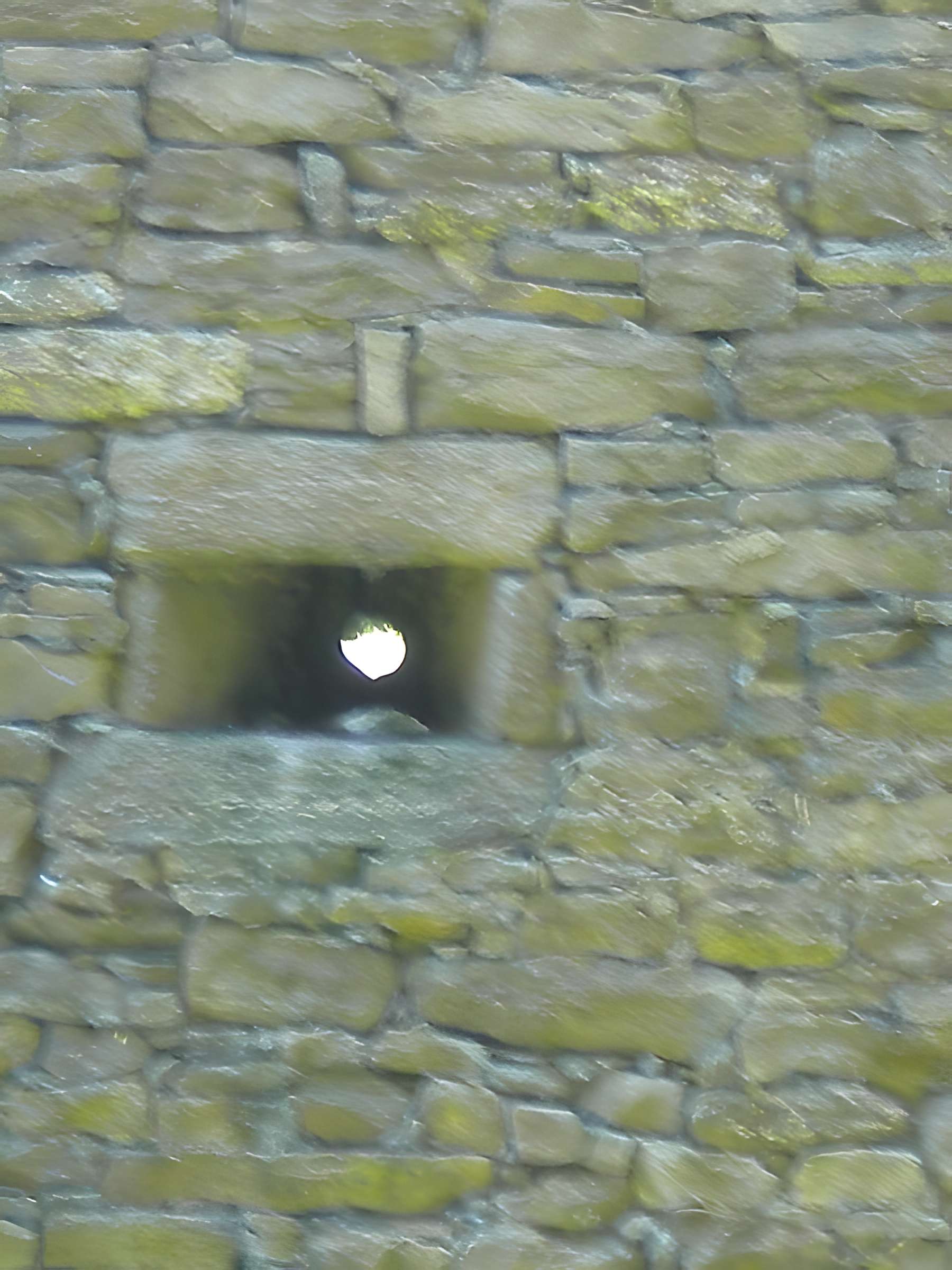 Château de Ranrouët