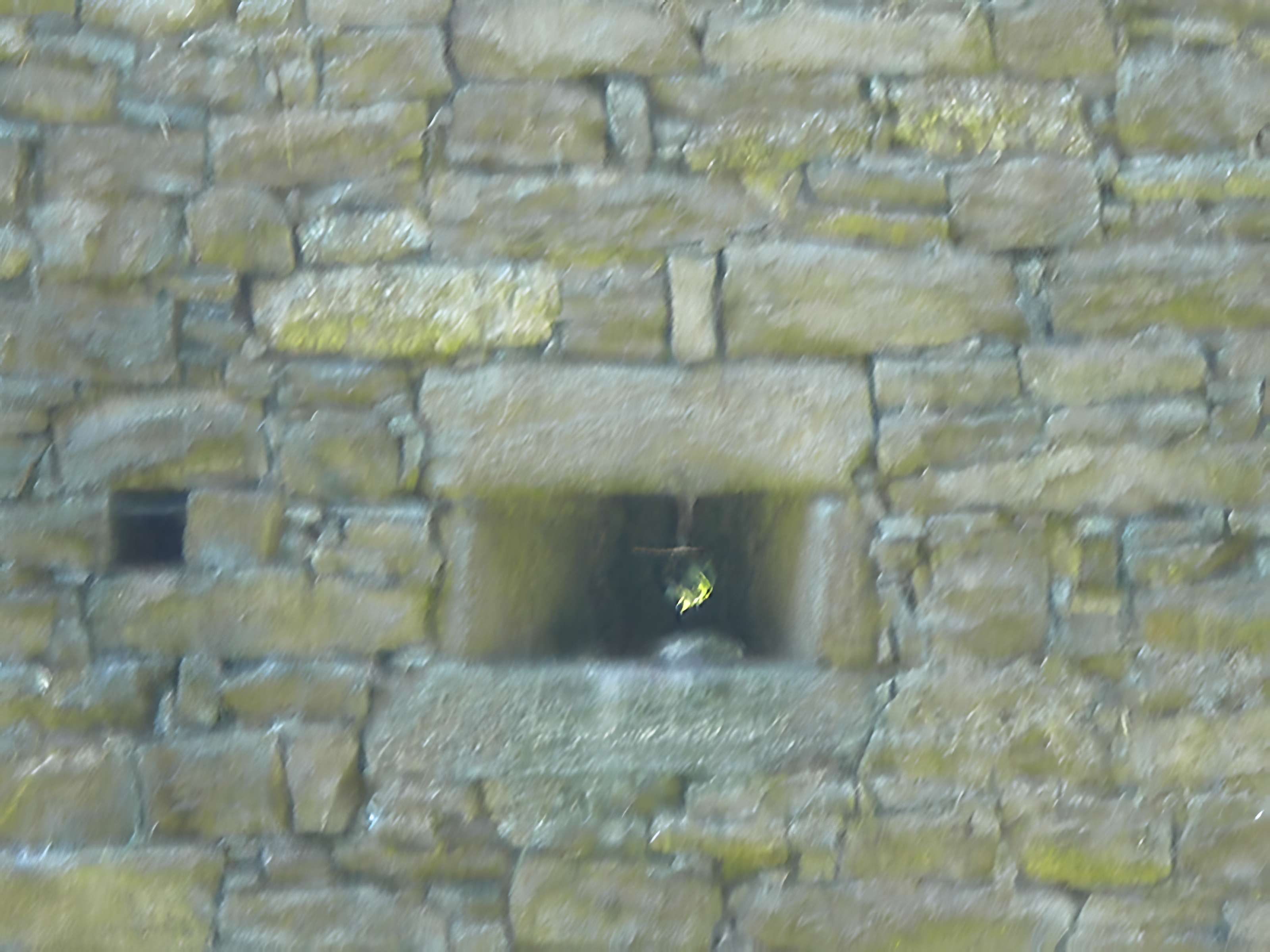 Château de Ranrouët