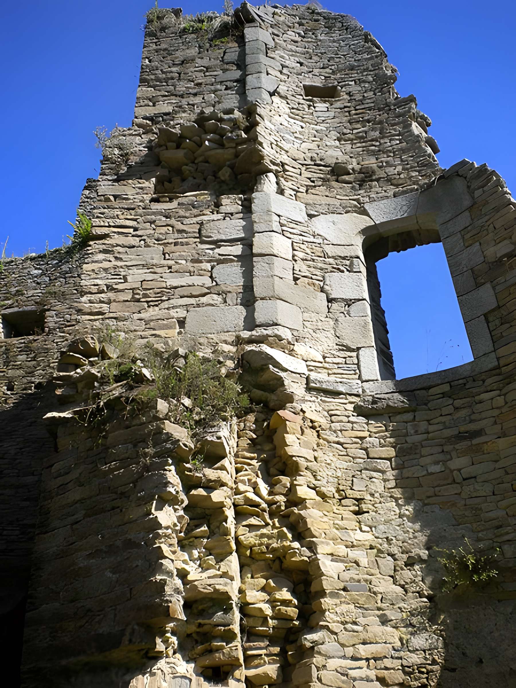 Château de Ranrouët