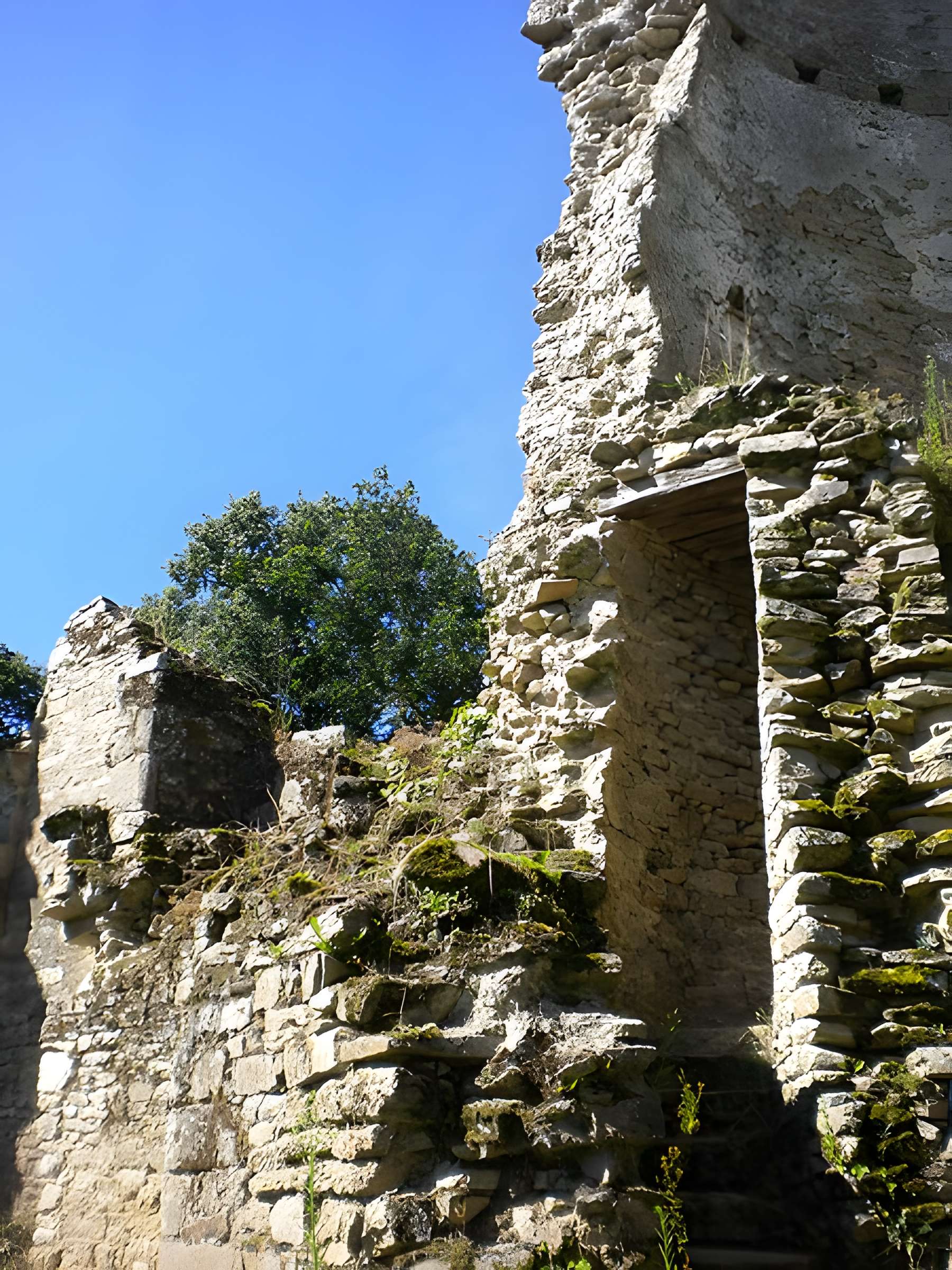 Château de Ranrouët