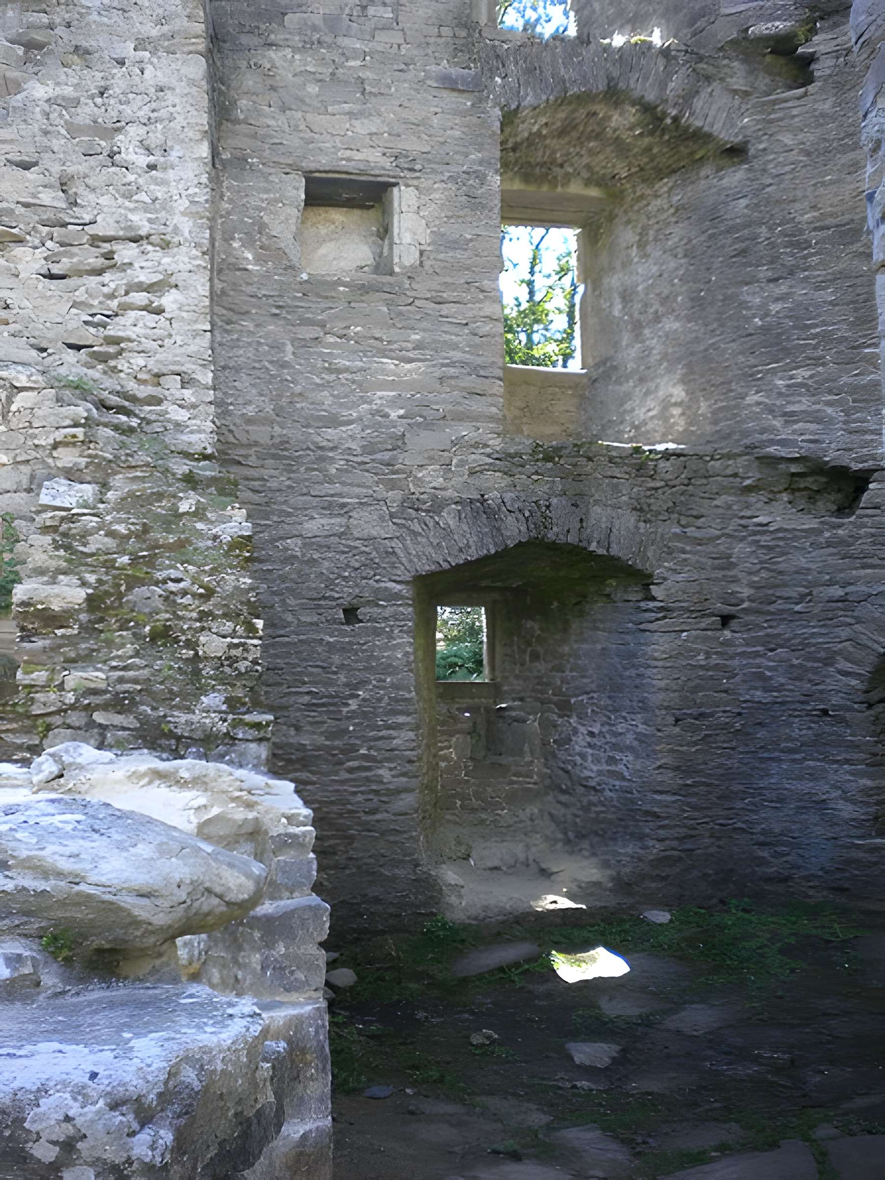 Château de Ranrouët
