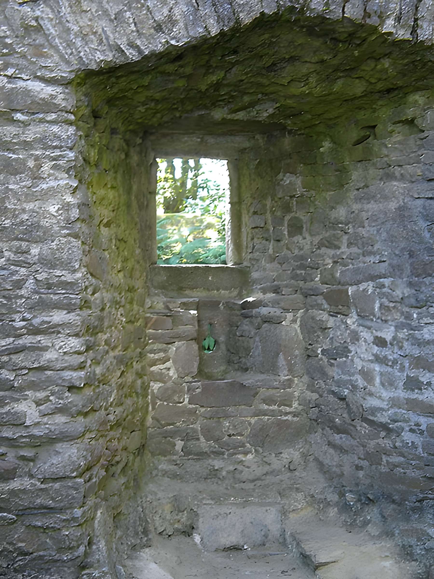 Château de Ranrouët