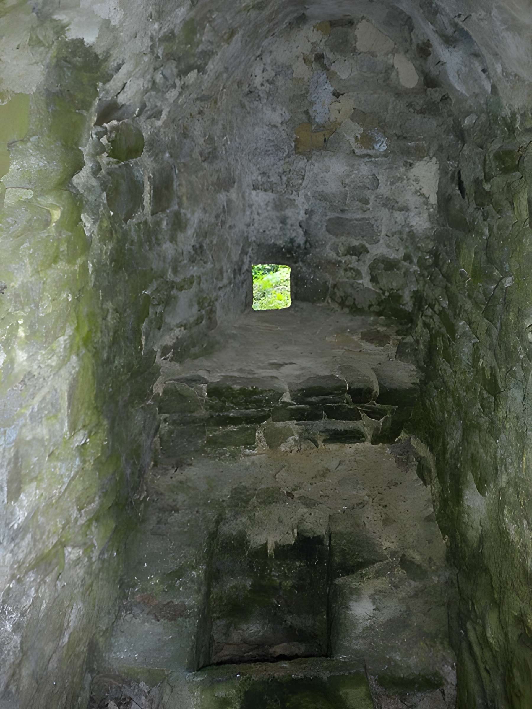 Château de Ranrouët