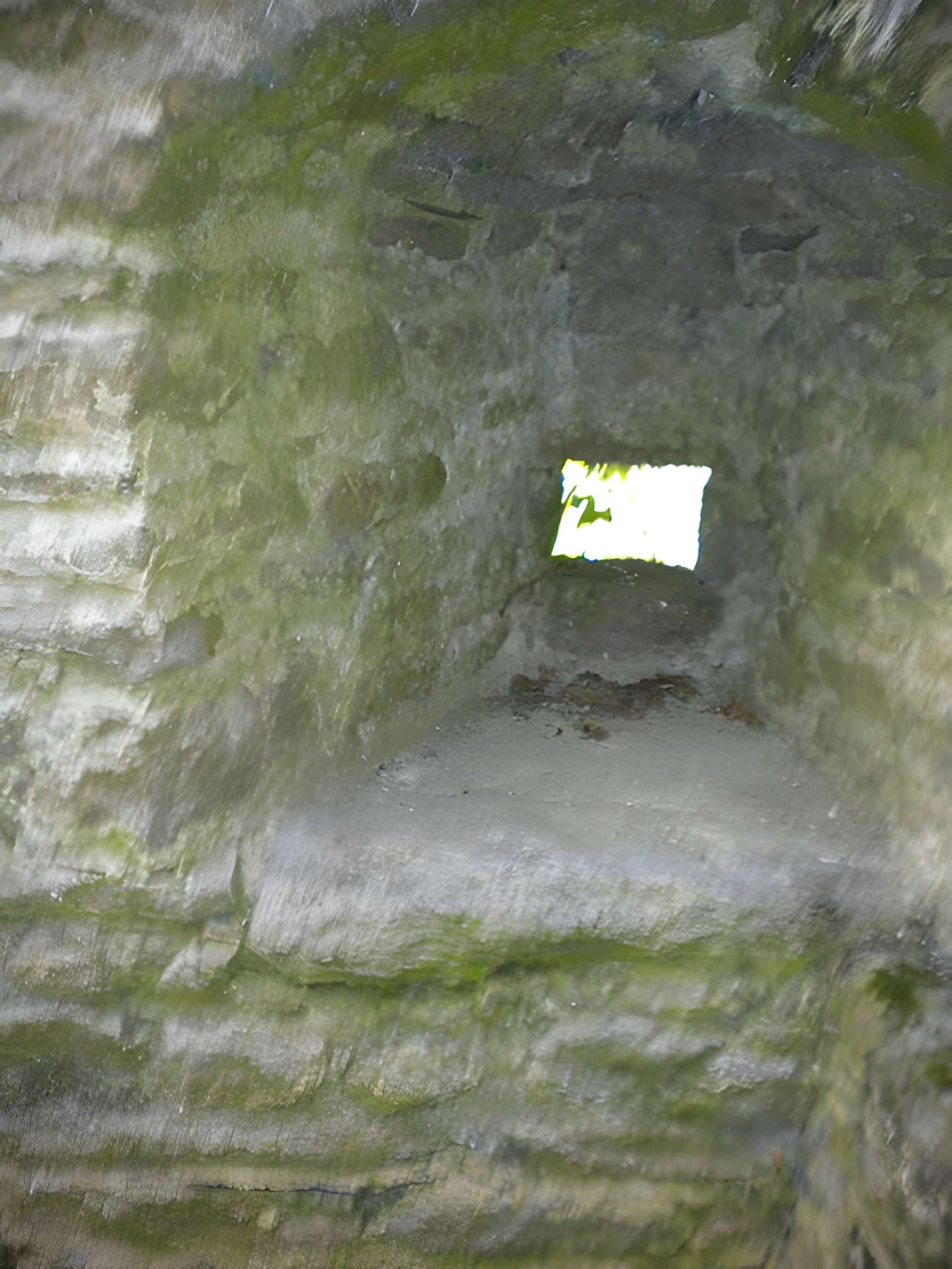 Château de Ranrouët