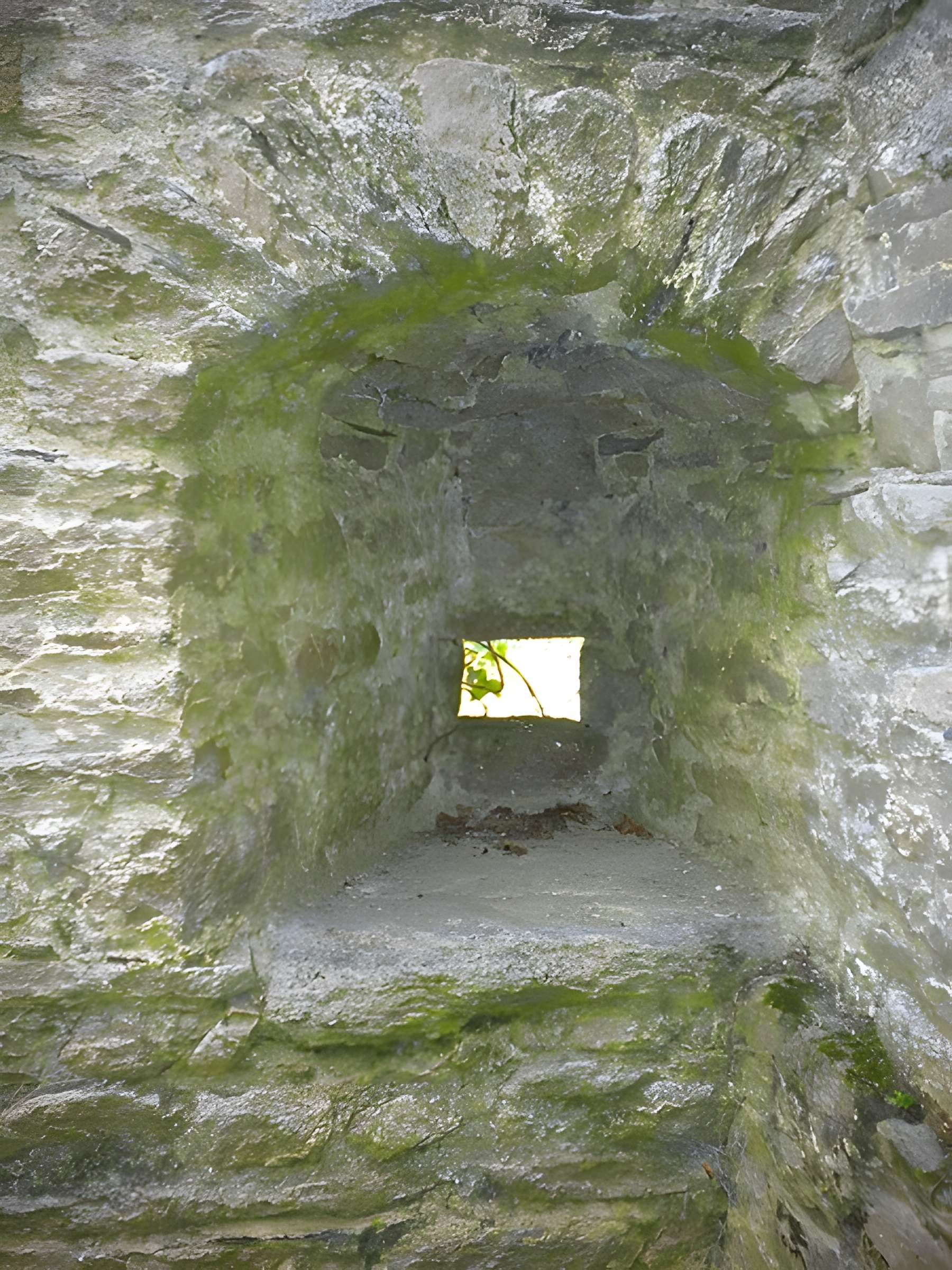 Château de Ranrouët