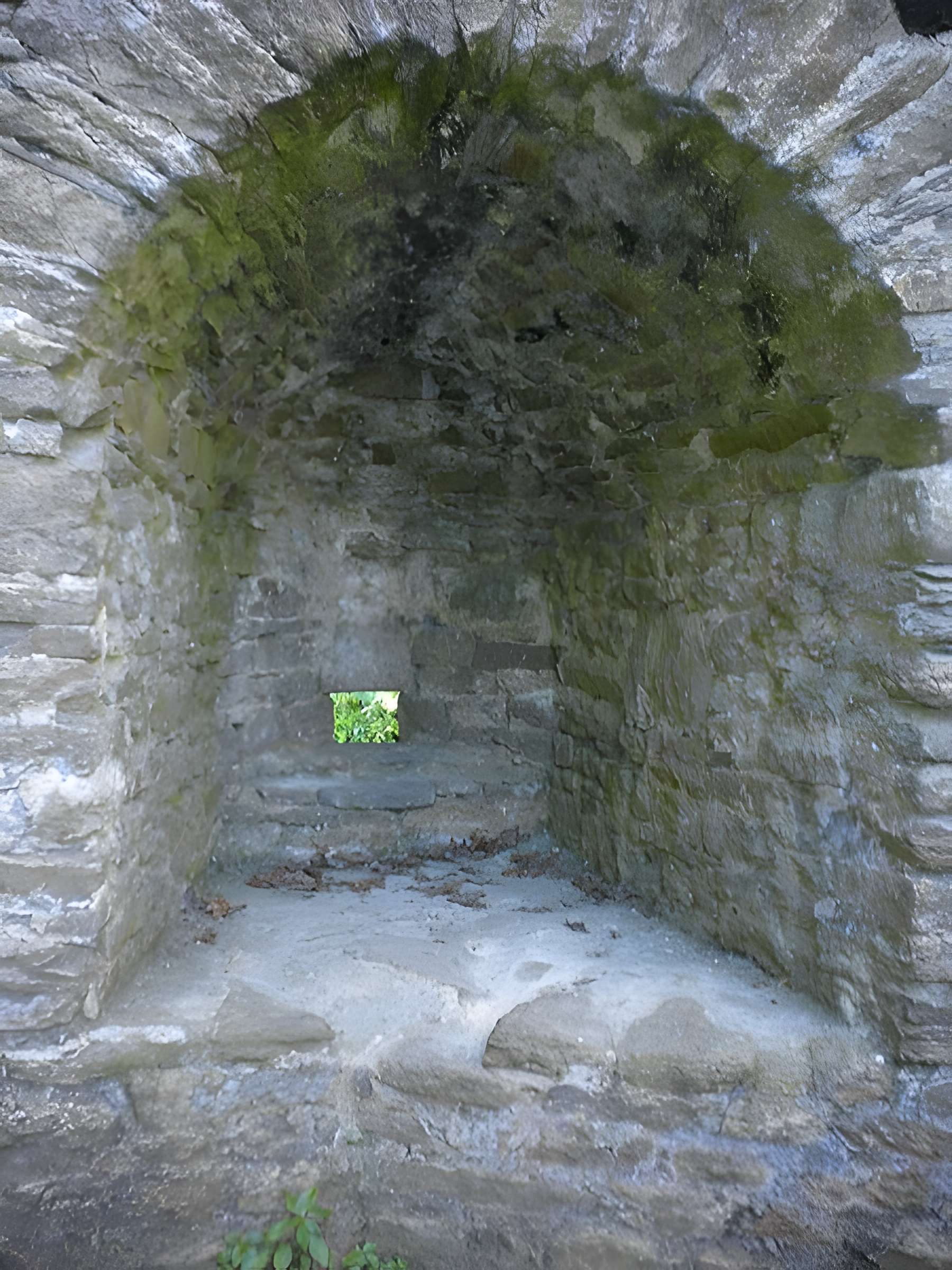 Château de Ranrouët