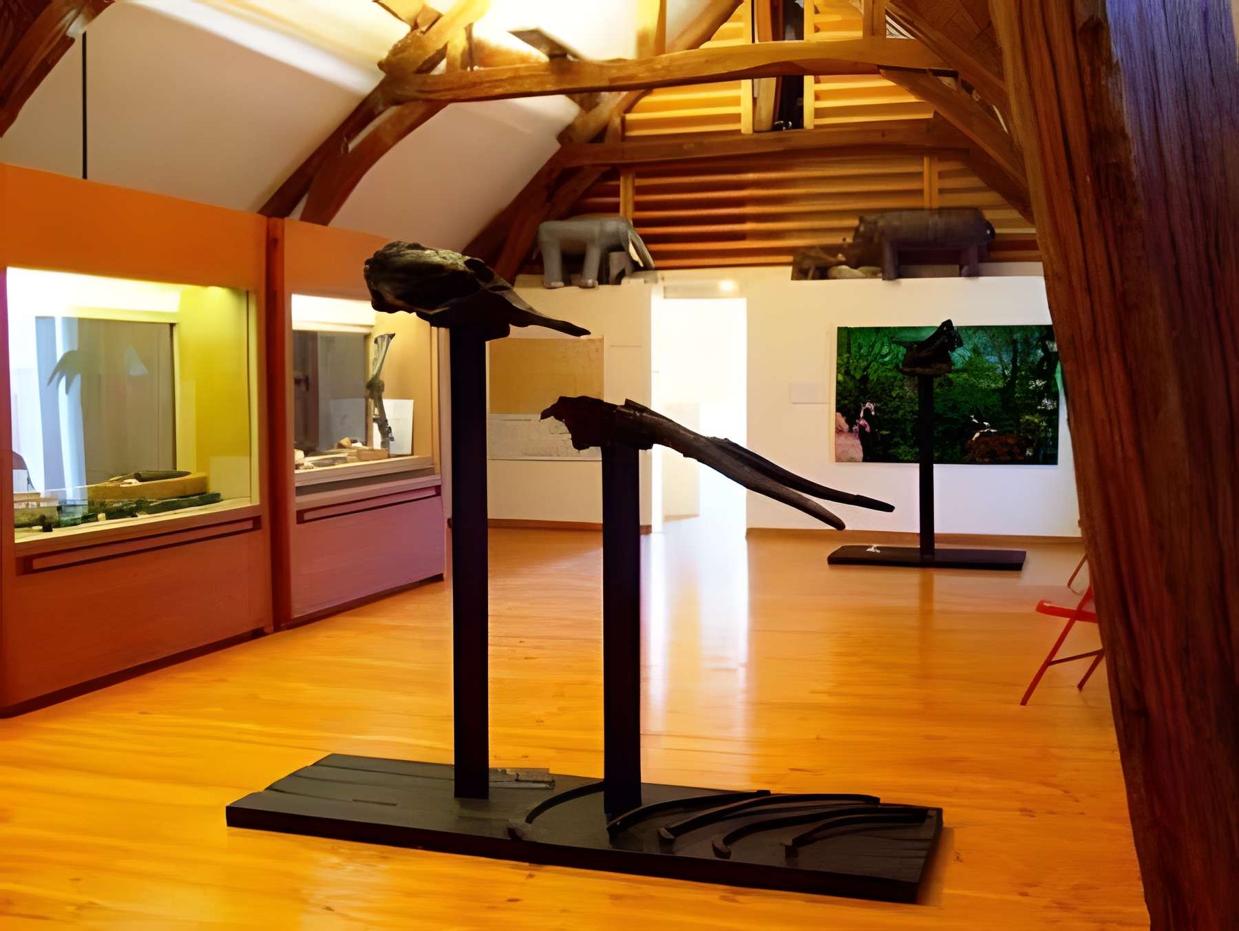 Musée d'archéologie et des fossiles d'Artenay 