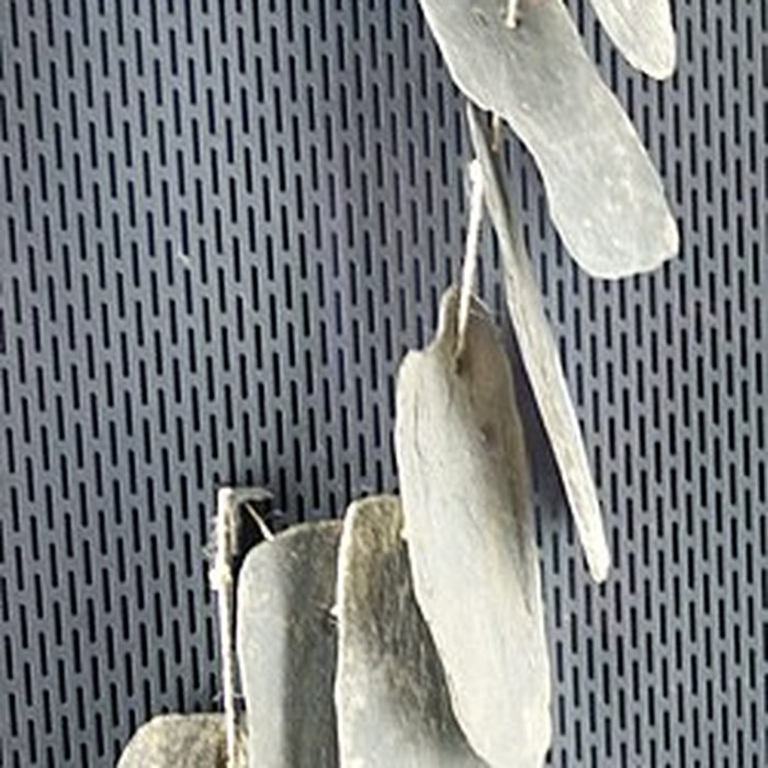 Photo de Musée de la marine de Loire à Châteauneuf-sur-Loire