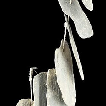 Musée de la marine de Loire à Châteauneuf-sur-Loire