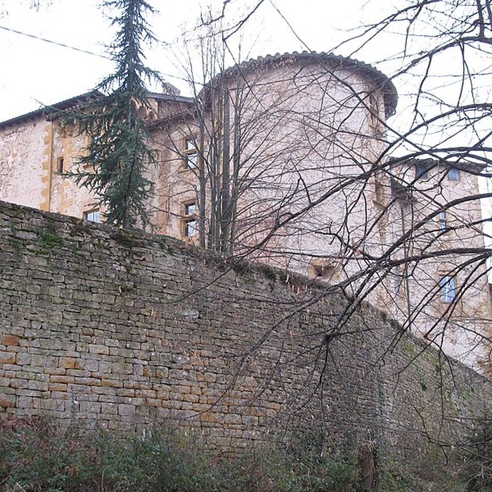 Photo de Château de Rapetour