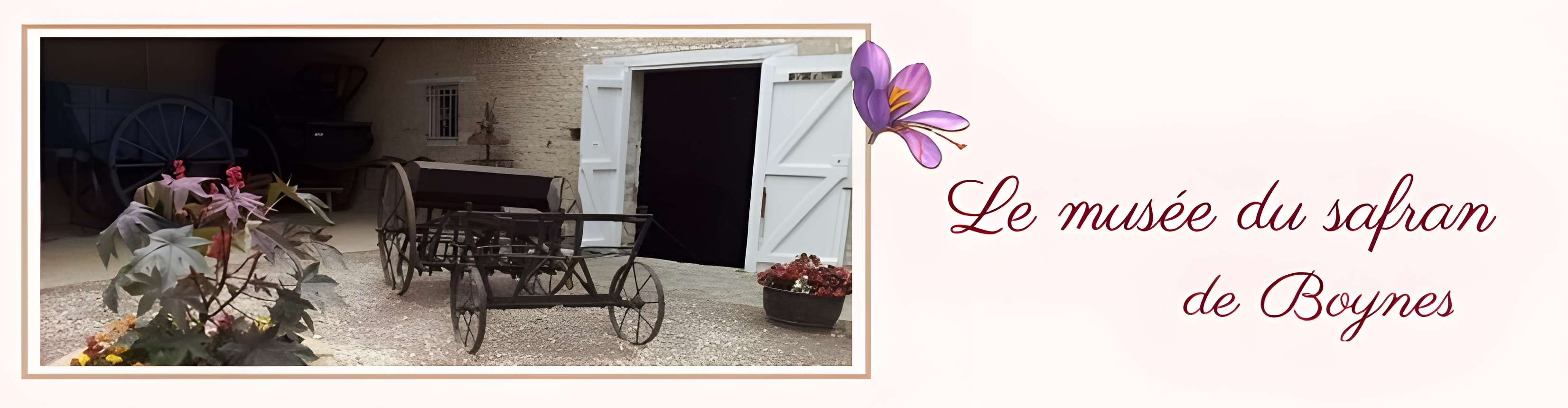 Musée du Safran à Boynes 