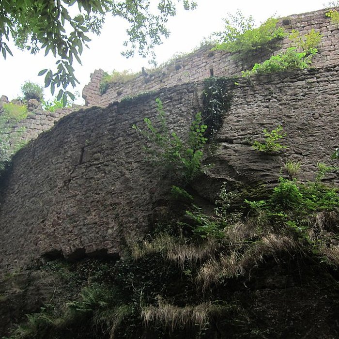 Photo de Château de Rathsamhausen