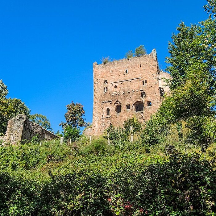 Photo de Château de Rathsamhausen