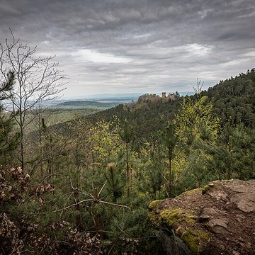 Château de Rathsamhausen