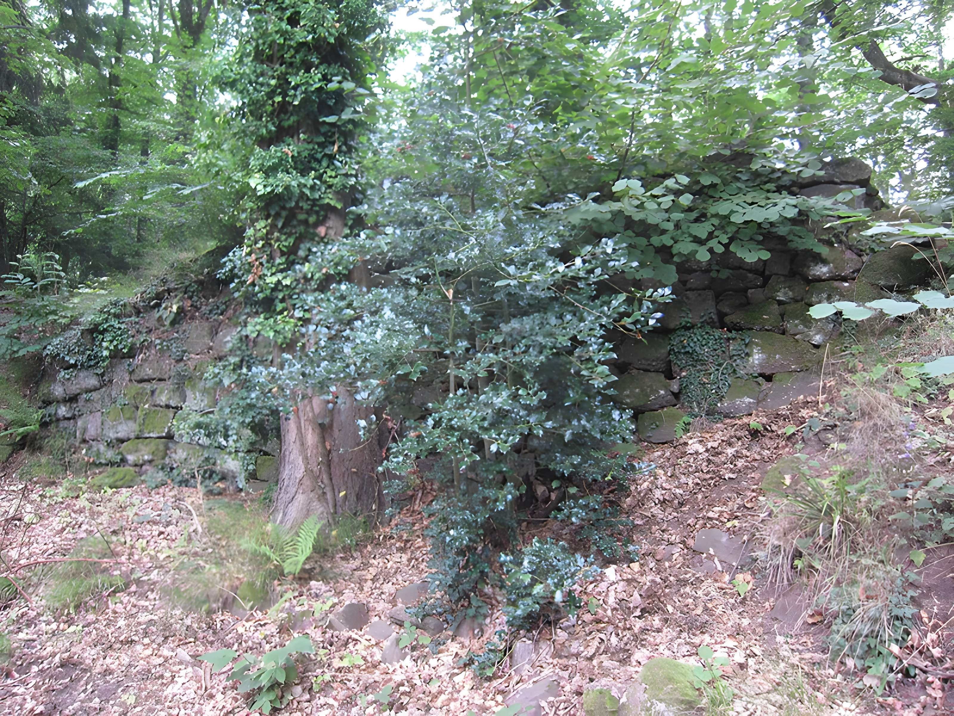 Château de Rathsamhausen