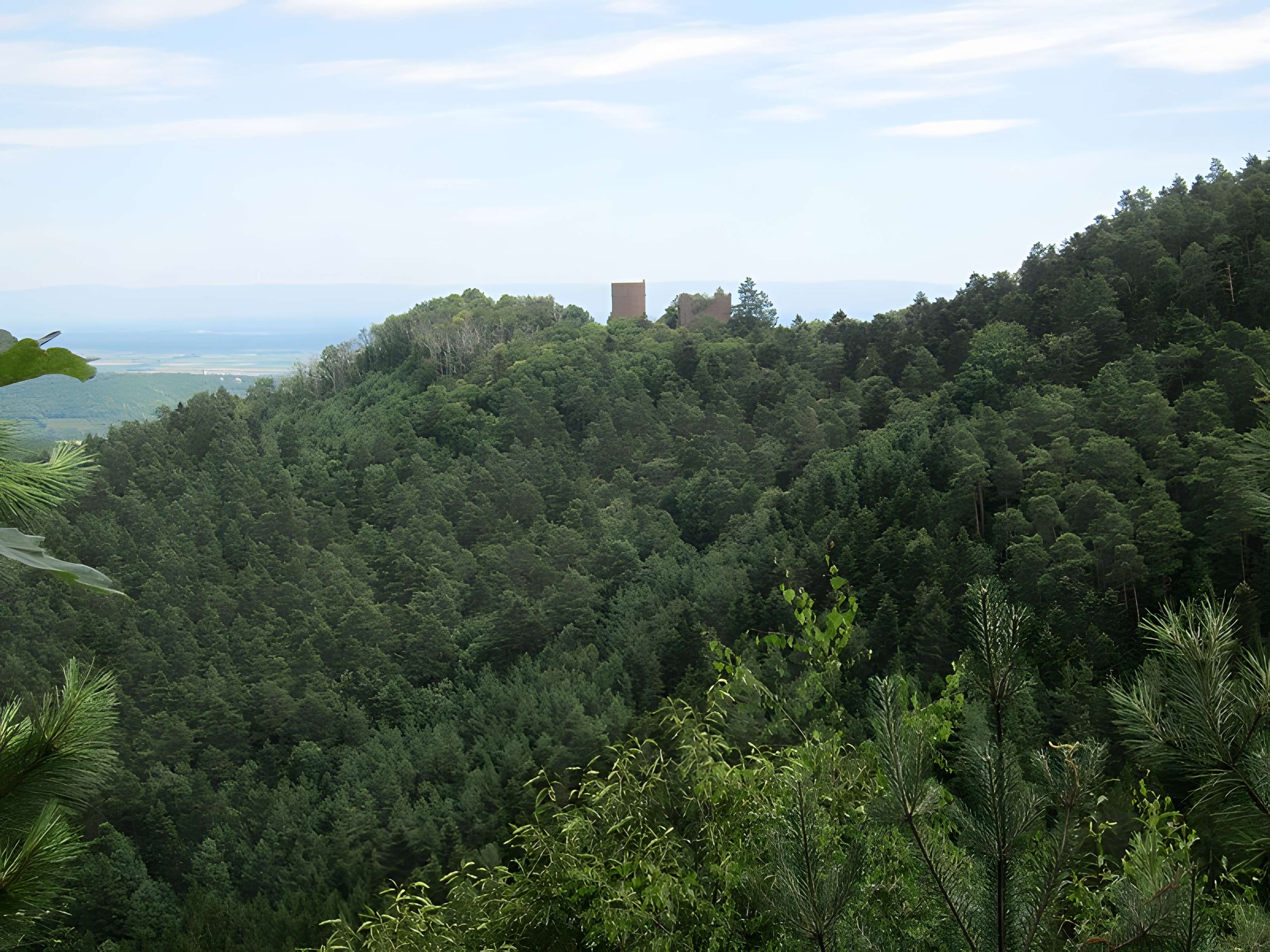 Château de Rathsamhausen