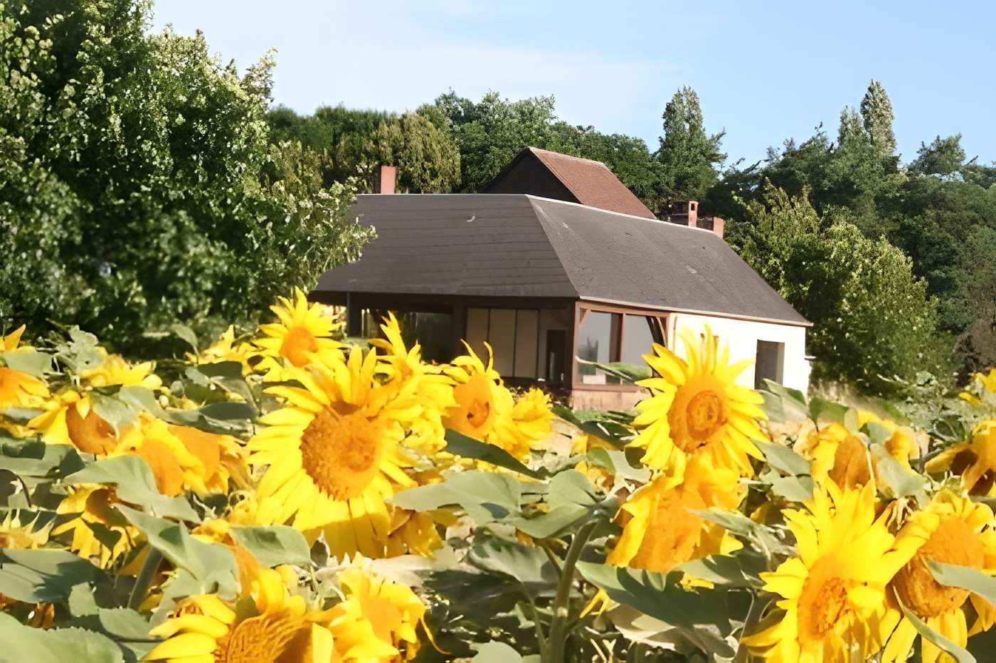 Musée vivant de l'apiculture gâtinaise de Château Renard 