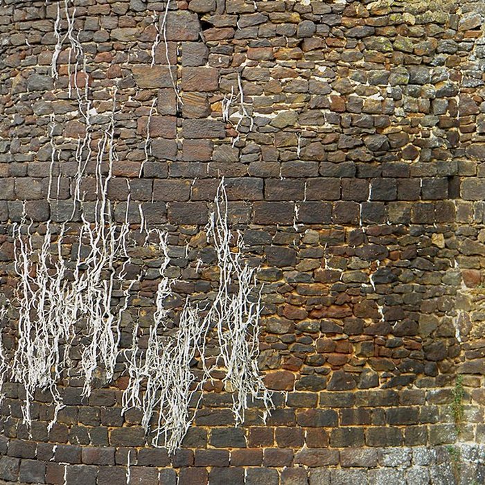 Photo de Château de Ratilly