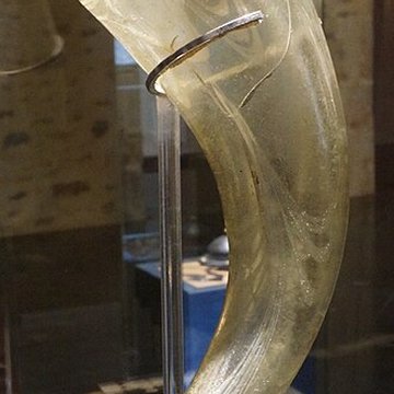 Le Musée De LArdenne à Charleville-Mézières