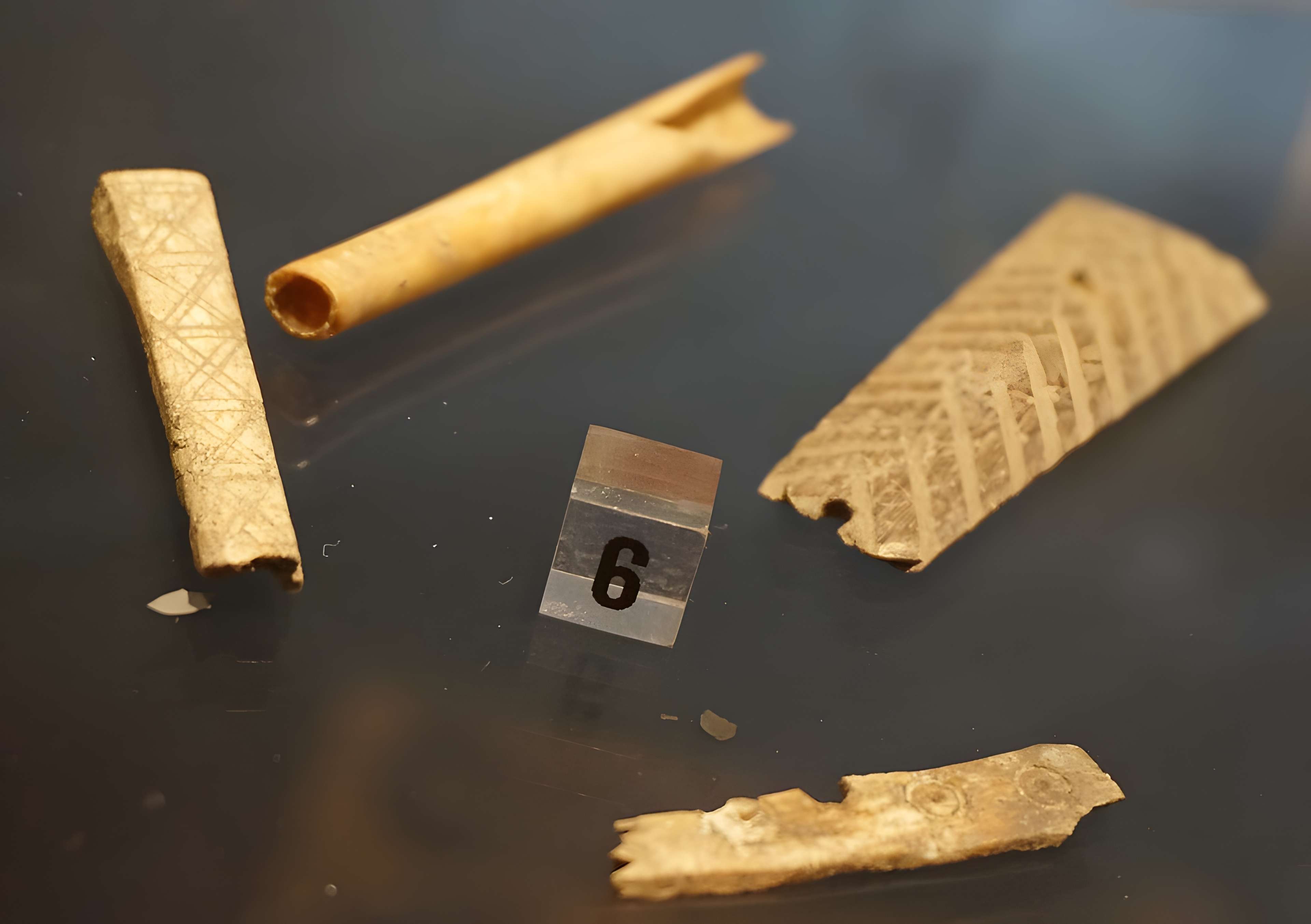 Le Musée De L'Ardenne à Charleville-Mézières