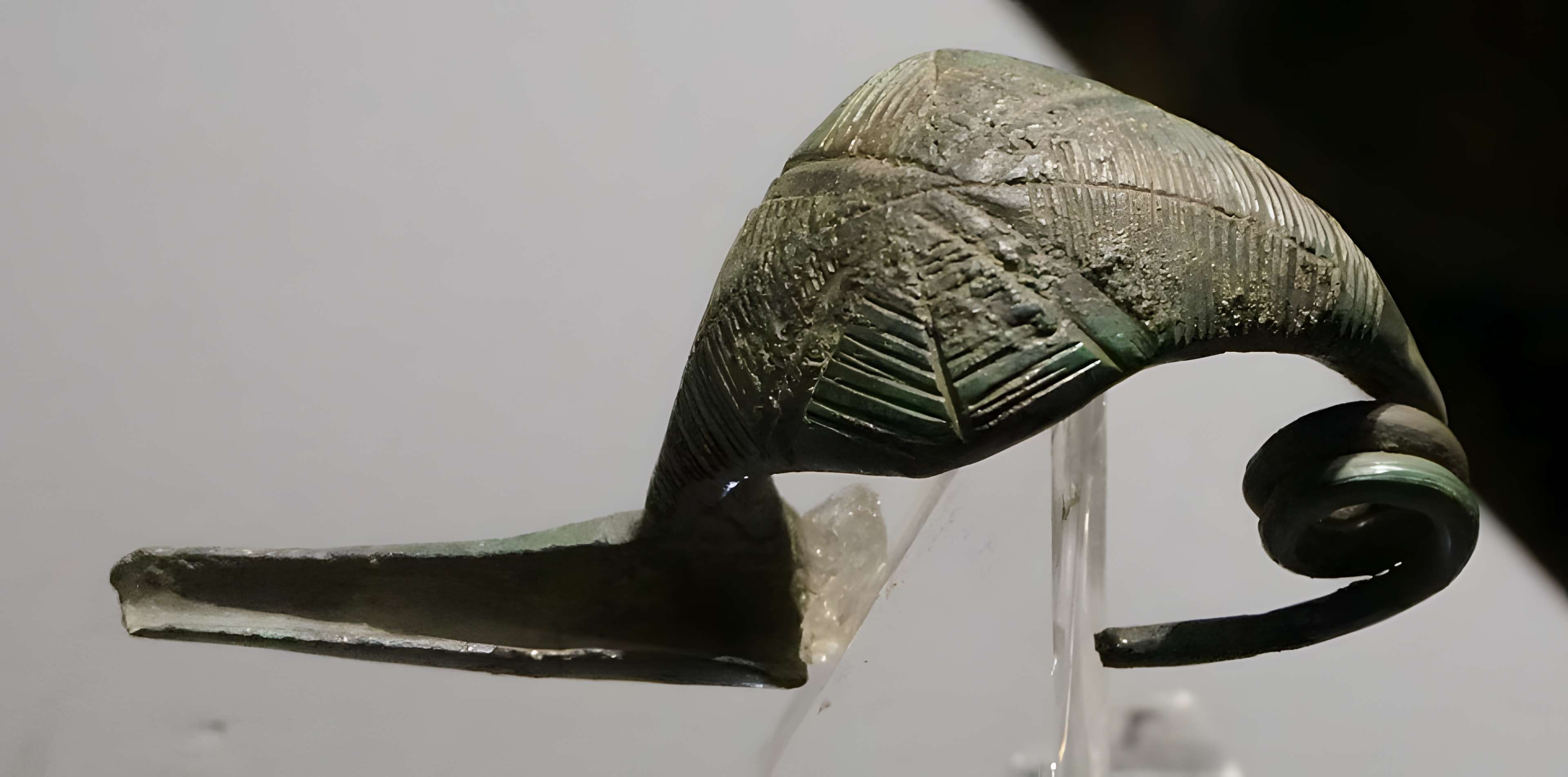 Le Musée De L'Ardenne à Charleville-Mézières